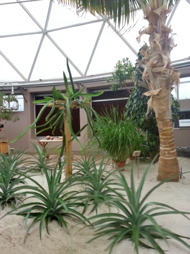 Tropical Greenhouse, Living with the Land, Epcot, 3/29/14