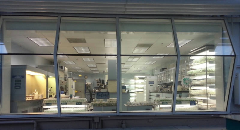 Epcot/USDA Tissue Culture Lab, Living with the Land, 3/29/14